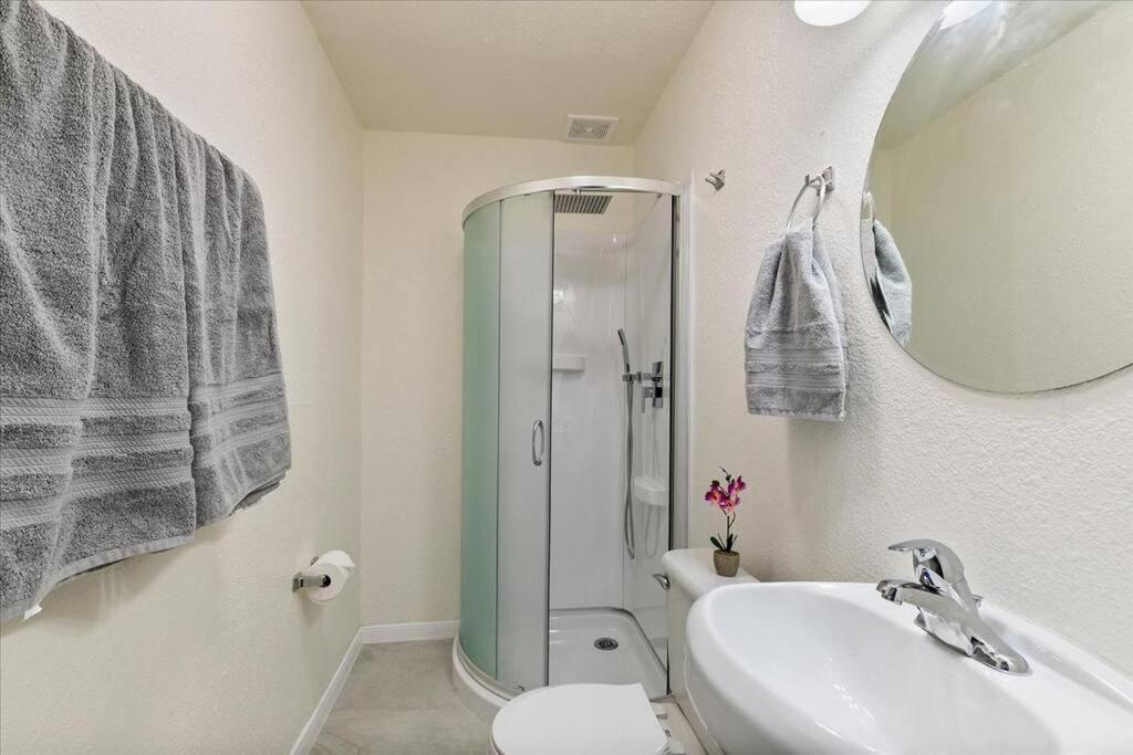 Lucky House - Tranquility In The Middle Of Houston - Tv In Every Room - 300 M2 ภายนอก รูปภาพ